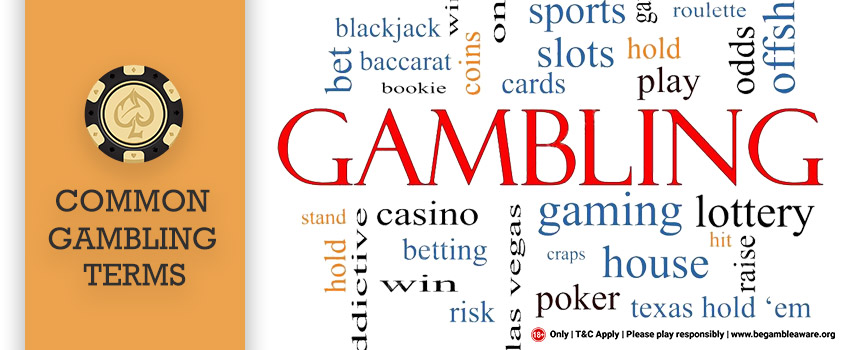 Casino Glossary Common Gambling Terms You Need To Know